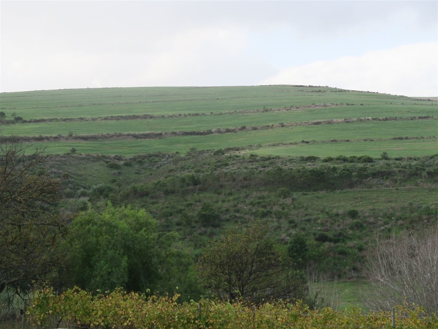 0 Bedroom Property for Sale in Bot River Western Cape